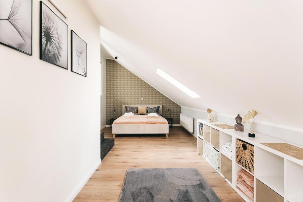 Tip! Toplage In Dresden! Moderne 100 Qm Ferienwohnung Fuer Familien Und Kleine Gruppen Esterno foto