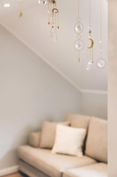 Tip! Toplage In Dresden! Moderne 100 Qm Ferienwohnung Fuer Familien Und Kleine Gruppen Esterno foto